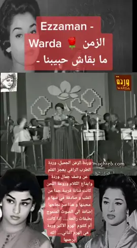 #وردة_الجزائرية#ولاد_الحلال أغنية : (ولاد الحلال) الزمن ما بقاش حبيبنا كلمات الشاعر سيد مرسي ألحان عبقري النغم الموسيقار بليغ حمدي غناء مطربة الأجيال وردة عزف الفرقة الماسية ----------- #بليغ_حمدي #بليغ_حمدى #وردة_الجزائرية #ام_كلثوم #الطرب_الاصيل #الطرب #الطرب_القديم_الجميل #زمان_الطيبين #زمانيات  #لفن #morocoo #تونس_الجزائر_المغرب  #الخليج_الكويت_السعودية_قطر_البحرين #foryou #foryoupage