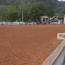 #laçocomprido #laçoprendaシ゚viral #campeiropuro #rodeiopaixao #armadapositiva🤠🐎🐎