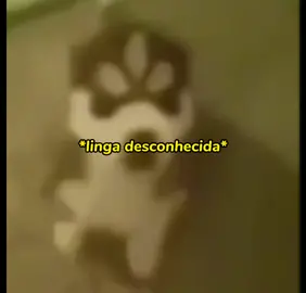 bom menino☺🔪#memestiktok