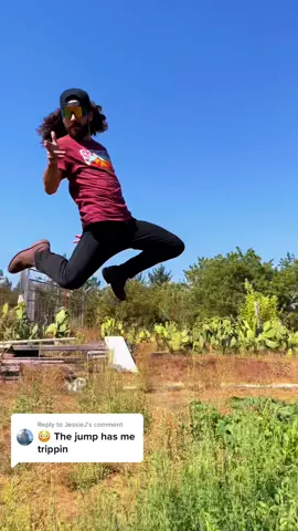 Replying to @JessieJ Enjoy the trip, Sauce Cleared for Takeoff!😤🤾🏽 #energy