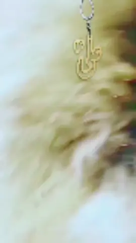 lakh bhter han sarknu pe bhonkne wale #foryou #fyp #tiktokpakistan #foryoupage