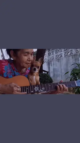 ❤️😘 #putyourheadonmyshoulder #paulanka #fallinlovewithyou #healingvibes #lazyvibes #cover #coversong #fyp #foryou #lovestory❤️