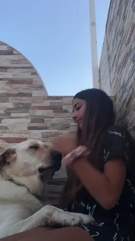 no hemos dormio en toa la noche pa ve el amanece y es una porqueriia JAJAJAJA