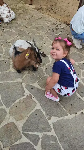 #herberstein #zoo #foryou #perte #family #neiperte #animals #happy #beautifulgirls #beautifulboy #beautifulday