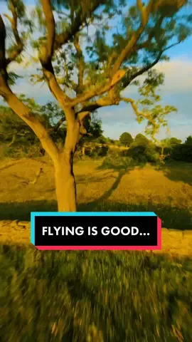 Flying is good… #birdpov #englishcountryside #fpv #nature #cinematicfpv #fpvdrone #birdlife #northyorkshire #relaxing