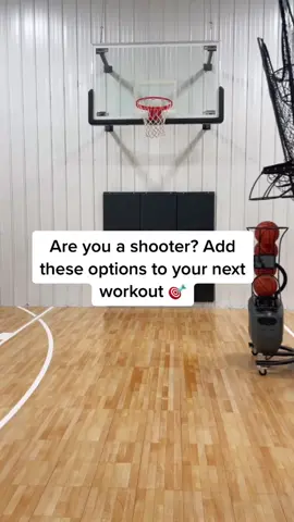 @drdishbball getting my shot right! 🎯 #basketball #basketballtrainer #basketballtraining #basketballdrills #basketballtips #basketballworkout 
