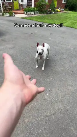 Someone tried to hurt her!!