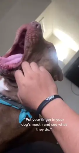 Not a chance 💀😂 #fyp#suavexavier