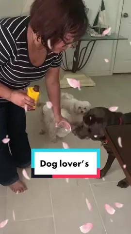 #doglover #naturaldrink#organic#aloevera#fyp#foreverlivingproducts#doghealthtips