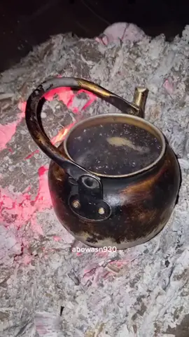 #براد_شاهي #شاهي_جمر #شاهي_ #شاهي_ربيع #تلقيمه #على_الجمر #شبة_نار #على_الحطب #فولو #اكسبلور #إكسبلورررررررررررررررررر #ترند #ترند_تيك_توك