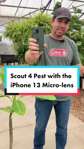 Did you know you can scout for pest with the iPhone micro lens? #smithsgardentown #scoutforbugs #pestcontrol #microlens #iphone13 #PlantTok #DidYouKnow #tipsandtricks #themoreyouknow💫 #houseplantsoftiktok  #HPRadicalReuse #iphone