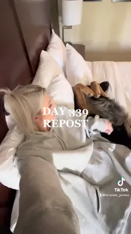 Today was a work dayyyyy🤓 #ReTokforNature #homeless #homelessandhumble #dayinthelife #dogsoftiktok