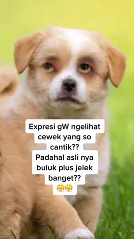 Jangan ngaku cantik lur kalau wajah nya masih buluk😂🤣😂
