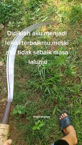 #MenjadiIndonesia #stmstoryy🌻 #lampungpride #yfpdong