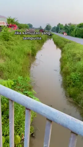 Ada terima ka tu? 🤭 #fyp #y15zr #y15zrmalaysia 