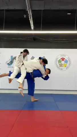 두 명이 매달려도 넘어가는 건 오바지;;😂 #좀비트립 #돌감자 #추천 #fyp #틱톡스포츠 #유도 #용인대학교 #judo #배네타 #용용용 