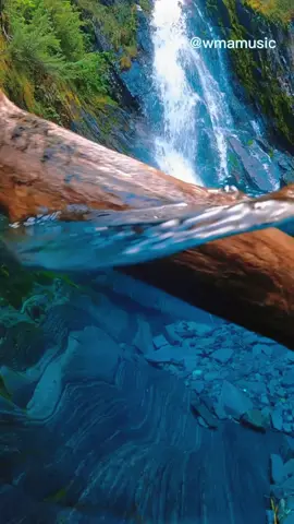 Ay, ay, ay I'm your little butterfly #music #chillmusic #tiktokmusic #xuhuong #musicchill #musictiktok #lyrics #virallyrics #cover