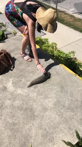 Look at the size of it! 😱 #slug #fyp #vancouver #unilad 