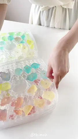 @user1925108610136に返信 フードドライヤーを使うと1日で琥珀糖できちゃうの知ってる？😊✨ #TikTokレシピ #レシピ動画 #手作りお菓子 #お菓子作り #お菓子レシピ #琥珀糖#asmr 