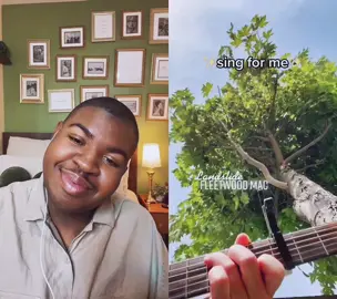 #duet with @Marco #GuitarTok i miss these duet videos #landslide #fleetwoodmac