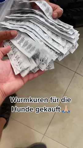 #fürdich #fürdichseiteシ #hundevideos #hunde #tierschutz  #GoSpring 