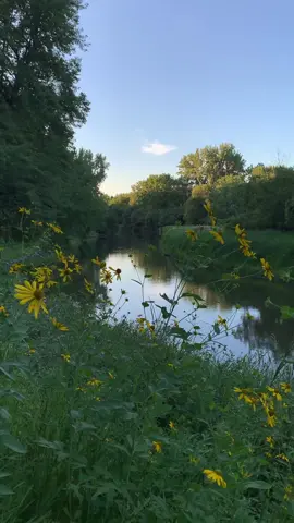 Take 30 seconds for yourself.  #lagoonpark #relaxingmode💃🥰  #relaxingbackgroundvideo  #slowtvrelax #relaxingbackgrounds 