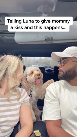 Did not expect that… 😳 #dogs #pets #funny #foryou #fyp #doglover #dogsoftiktok #lunatheminicockapoo 