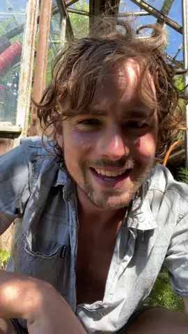 Figs are coming thick and fast. Beautiful summer salad for you. Sweet, savoury, it’s got it all. Would be great with peaches too! #cooking #delicious #Recipe #fyp #countrylife #homemade #chef  