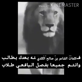 كلمات الشاعر محمد صالح اليافعي