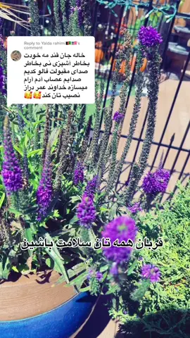 Replying to @Yalda rahimi🇦🇫🇺🇸