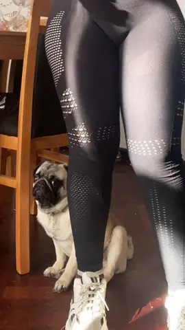 Si al final me cai jajaj