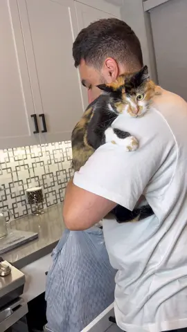 Clingy cat problems…#fyp #foryou #foryoupage