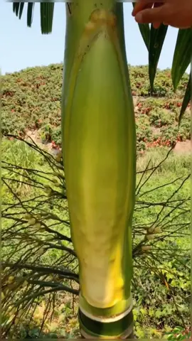 OMG😱✨✨✨#fruit❤️❤️❤️