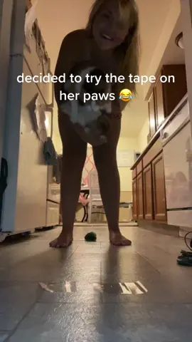 she cracks me up 😂😂 #cat #kitty #paws #fyp #foryoupage #hilarious 