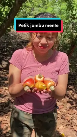 Petik jambu mente #fyp #fypシ #buah #panenbuah #buahbuahan 