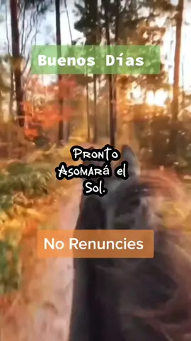 #norenuncies#sueños #metas #arelimendoza #exito #fyp #parati