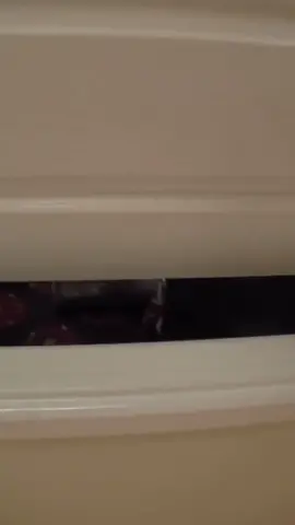 She just Blow it in my honor 💨 #viral #fyp #fart #fartsarefunny #farts