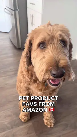 My Favourite Pet Products From Amazon 🇨🇦 | CUSTOMIZED SILICONE DOG TAG #Shoppers60 #amazonmademebuyit #amazoncanada #amazoncanadafinds2022 #amazonmusthaves2022 #amazoncanadadeal #amazoncanadareviewer #petproducts #petsoftiktok2022 #dogmomhack #petproducts #petproductreview #petproductswelove #mydogsteppedonabee #mydogmusthave #tiktokmademebuyit2022 #tiktokmademetryit #petparentsoftiktok #petparent #catsoftiktok #catmomlife @Amazon 