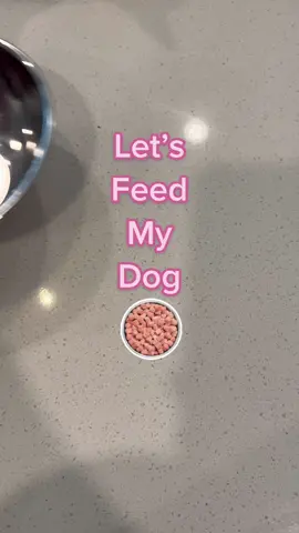 I can’t tell if you guys are bored with these bowl videos, so let me know😅 @instinctpetfood @Native Pet @Ozloo @nhvnaturalpet #feedmydog #dogfood #rawfeddog #rawfood #healthydog #happydog #dogmom #buildabowl 