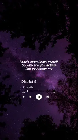 #skz #straykids #stay #kpop #song #lyrics #district9 #fyp @Stray Kids 
