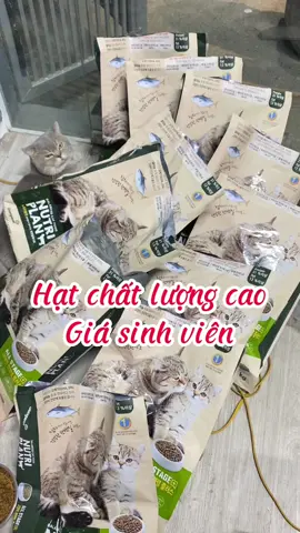 Hạt siêu chất lượng giá sinh viên cho mèo mọi lứa tuổi mn nhanh tay đặt nha #luomwcat #nuoimeo #hatchomeo #vairal #fypシ #xuhuongtiktok #nutriplan #tiktokshop 