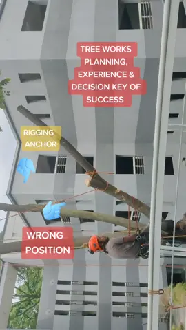 tree work fails#ropeaccses #yangpentingkitahappy #fyp #Outdoors #FlexYourFreestyle #height #tebangpokok #tebangpokoktapah #treeclimberlife #treeclimberlife #arboristlife #courantkoala #tebangpokokmalaysia #courantverticalliving #singingrock #treeworkfails