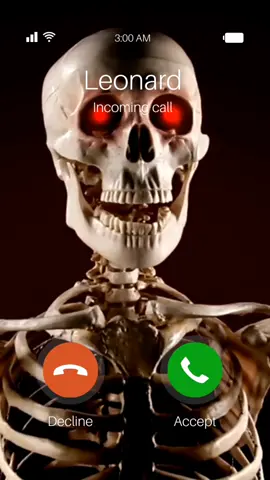 When your skeleton pals FaceTime you at 3am because so many people are already preparing for #Halloween2022. 💀📱 #skeleton #skeletons #halloween #facetime