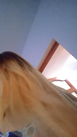 #tigancadebucuresti #vairal #foryou