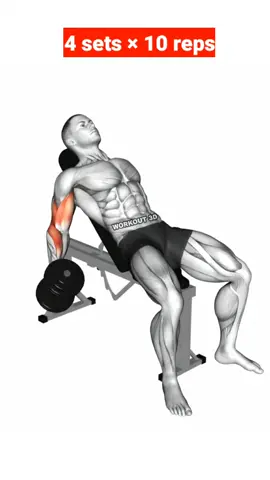 Biceps Workout #exercise #3d #sports #foryou #bodybuilding #training #fyp #tiktok #Fitness #gym #workout #biceps