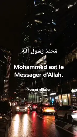Sourate 48🕋🕌Verset 29🤲❤️🙏#alijaber #quran_alkarim #quran #quranvideo #islam #coran #coranfrancais #islamic #islamic_video #lahawlawalaquwataillahbillah #sourates #alhamdulillah #allah #islam #religion #muhammad