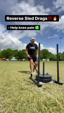 Reverse Sled Drags for Healthy Knees & Increased Speed, Vertical, and Strength‼️ • Shout out to Ben Patrick (@kneesovertoesguy) for really popularizing backwards walking and sled drags in the fitness and performance industry! He has shown how effective walking in reverse can be in relieving knee pain and increasing athleticism. • Dragging a sled backwards is such a simple, safe, & effective way to target the muscles around the knees and it is extremely difficult to “over do it” with a sled like one can with squats as there is no eccentric phase when it come to pulling a sled. This is a great way to add volume to your workouts without the fear of pushing yourself too far.  • If you or your student-athletes are looking to improve athletic performance, reduce injury risk, and become all around better moving and performing athletes call, text, email, or DM us today!! 50% off all training sessions through Sept. 17th!! • ##power##strengthandconditioning##speed##strength##athlete##sportsperformance##mobility