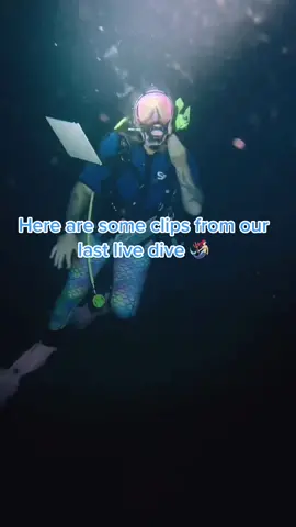 We are so very excited to have our ocean reef communication up and running for our live dives! If you are wondering how it works, here are a few clips from our last live dive! @karawithkindness @oceanreefgroup #scuba #fyp #foryoupage #LearnOnTikTok #ocean #eels #learnwithtiktok #explore #adventure #livestream #comedivewithus #cool #ReTokforNature #wildlife #nature #dive #travel #seaturtle #happiness #nightdive #exciting 