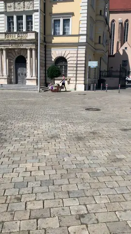 anche in germania stanno i rattusi vergognatevi 