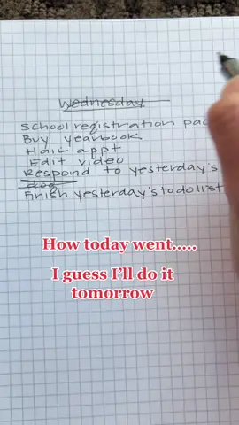 Wednesday vibes #todolist #procrastination #dog #foryoupage